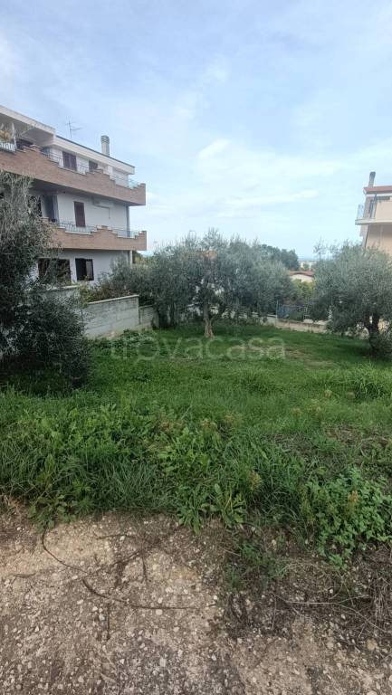 immagine annuncio 9 di 11