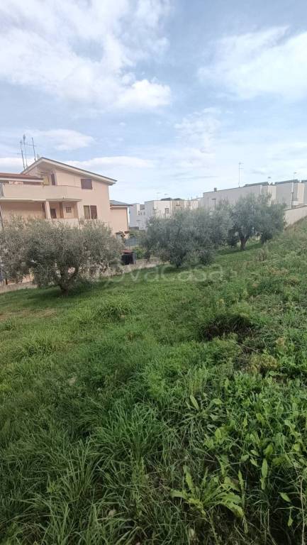 immagine annuncio 10 di 11