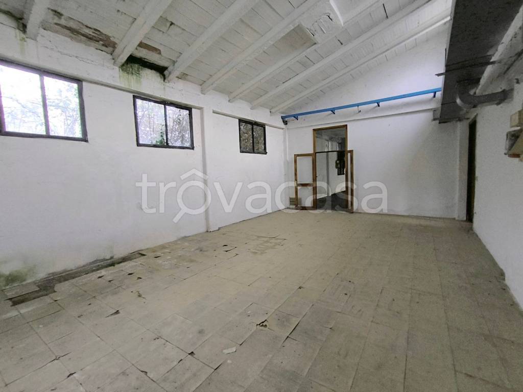 immagine annuncio 7 di 12