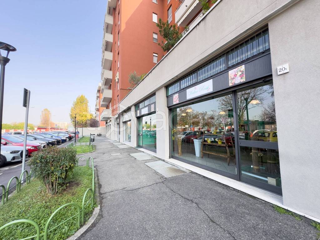 immagine annuncio 1 di 15