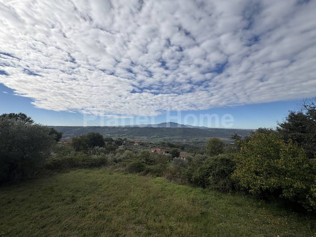 immagine annuncio 2 di 11