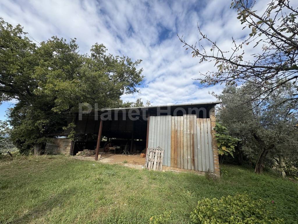 immagine annuncio 3 di 11