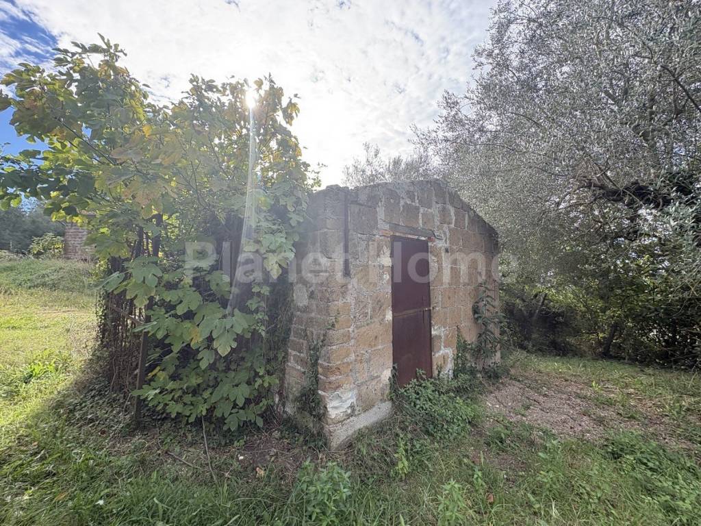 immagine annuncio 4 di 11