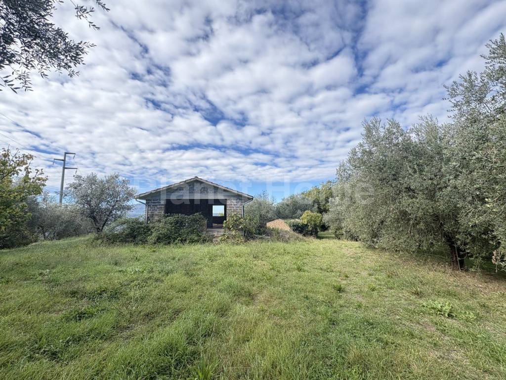 immagine annuncio 10 di 11