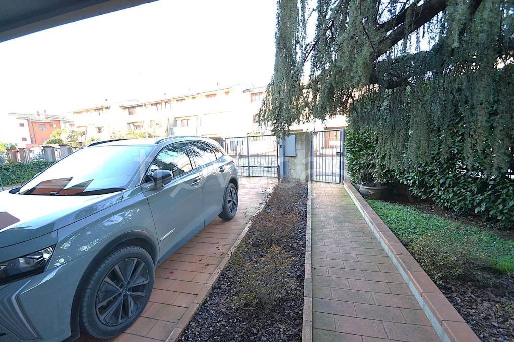 immagine annuncio 7 di 15