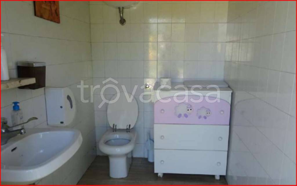 immagine annuncio 6 di 12