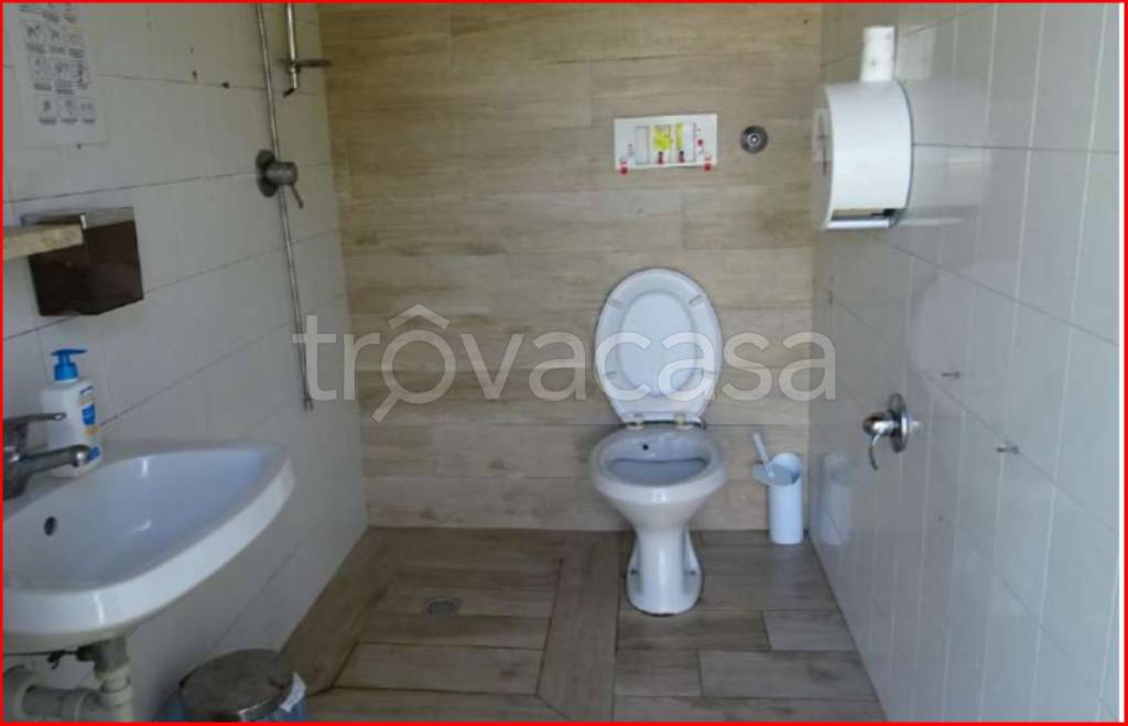 immagine annuncio 10 di 12