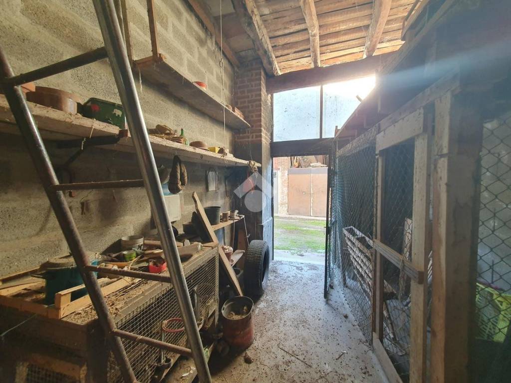 immagine annuncio 4 di 9