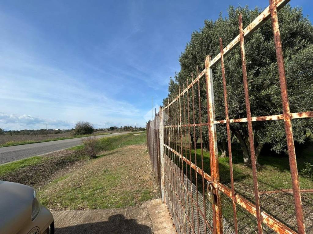 immagine annuncio 1 di 8