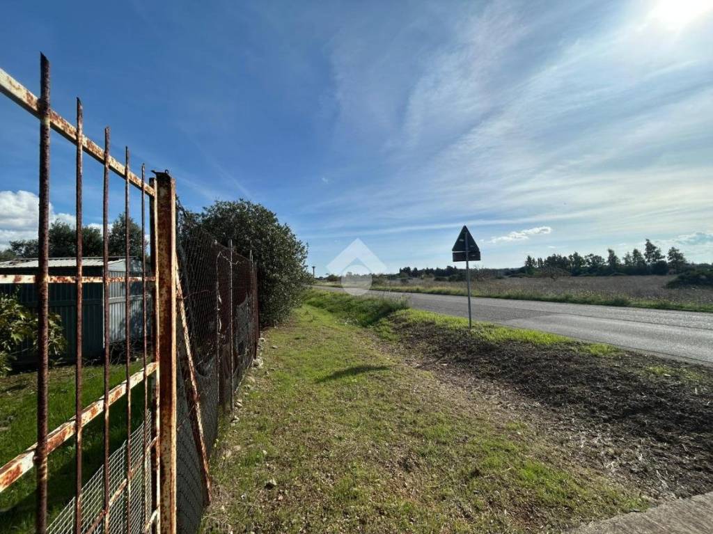 immagine annuncio 3 di 8