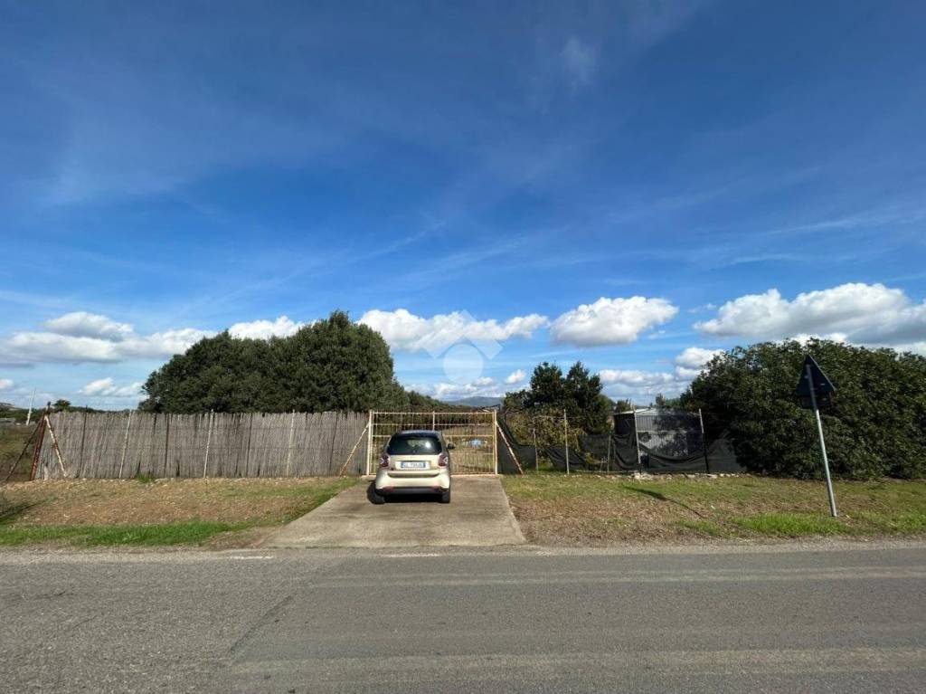 immagine annuncio 4 di 8