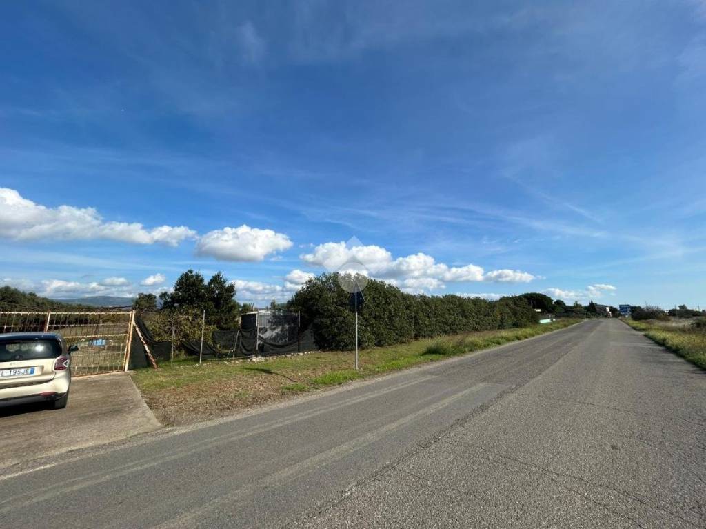 immagine annuncio 5 di 8