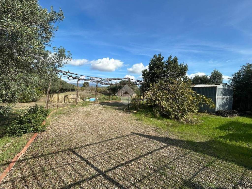 immagine annuncio 6 di 8