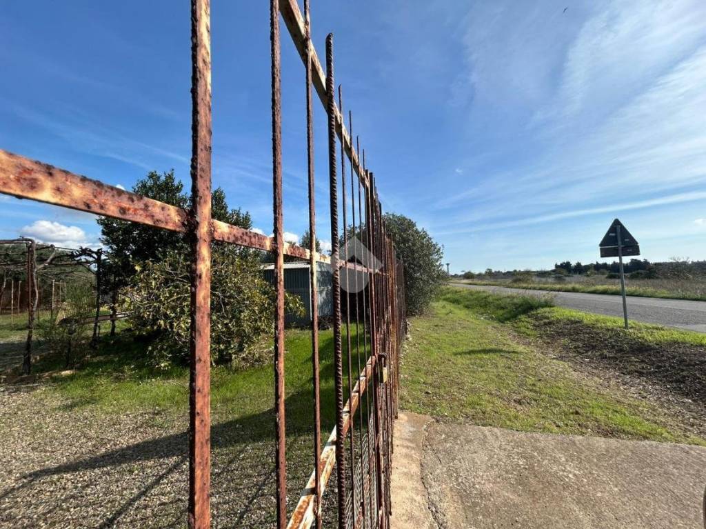 immagine annuncio 7 di 8