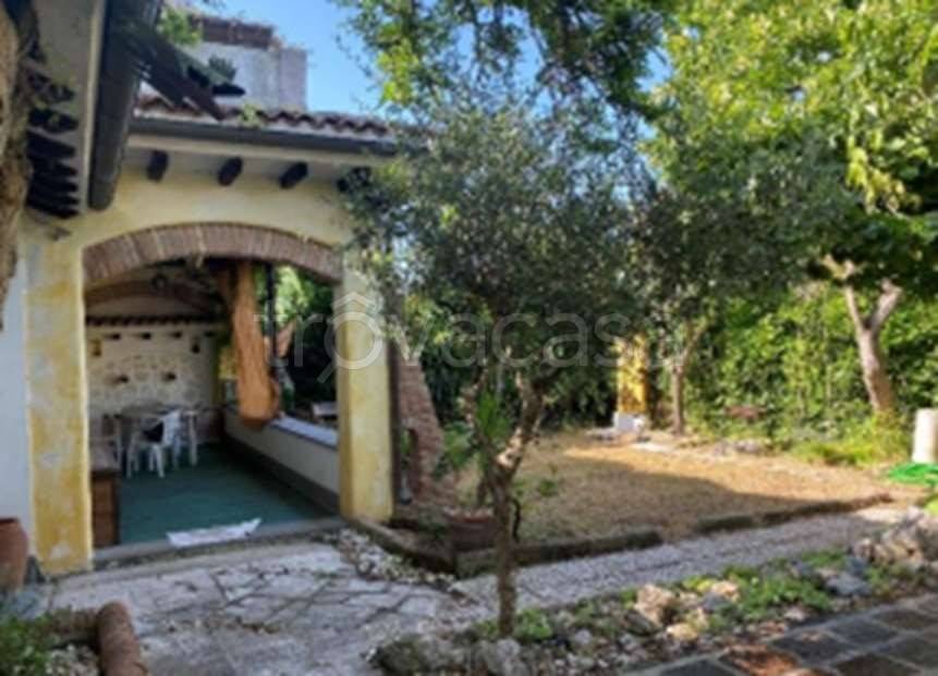 immagine annuncio 1 di 11