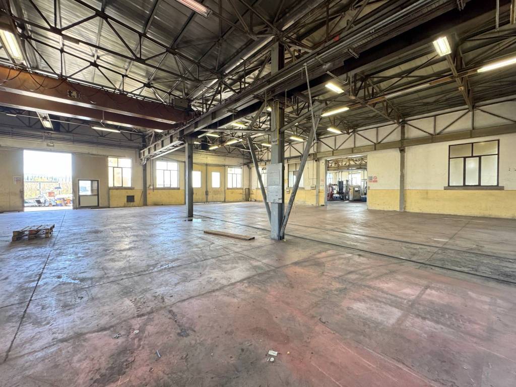 immagine annuncio 4 di 10