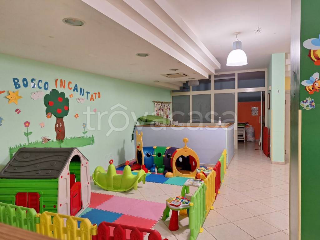 immagine annuncio 5 di 12