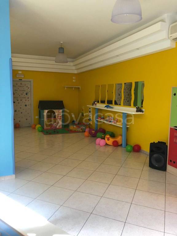 immagine annuncio 9 di 12