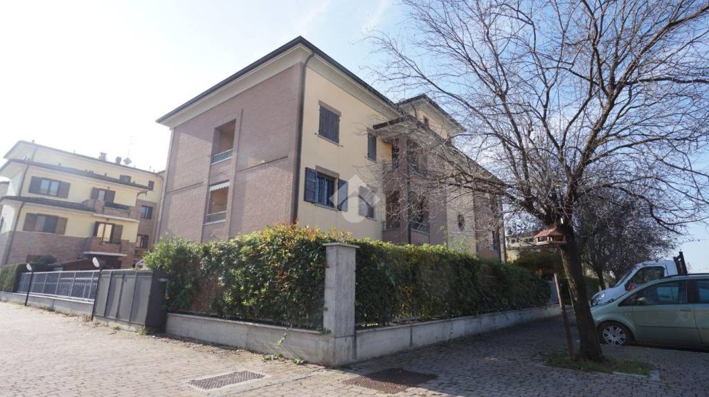 immagine annuncio 5 di 13