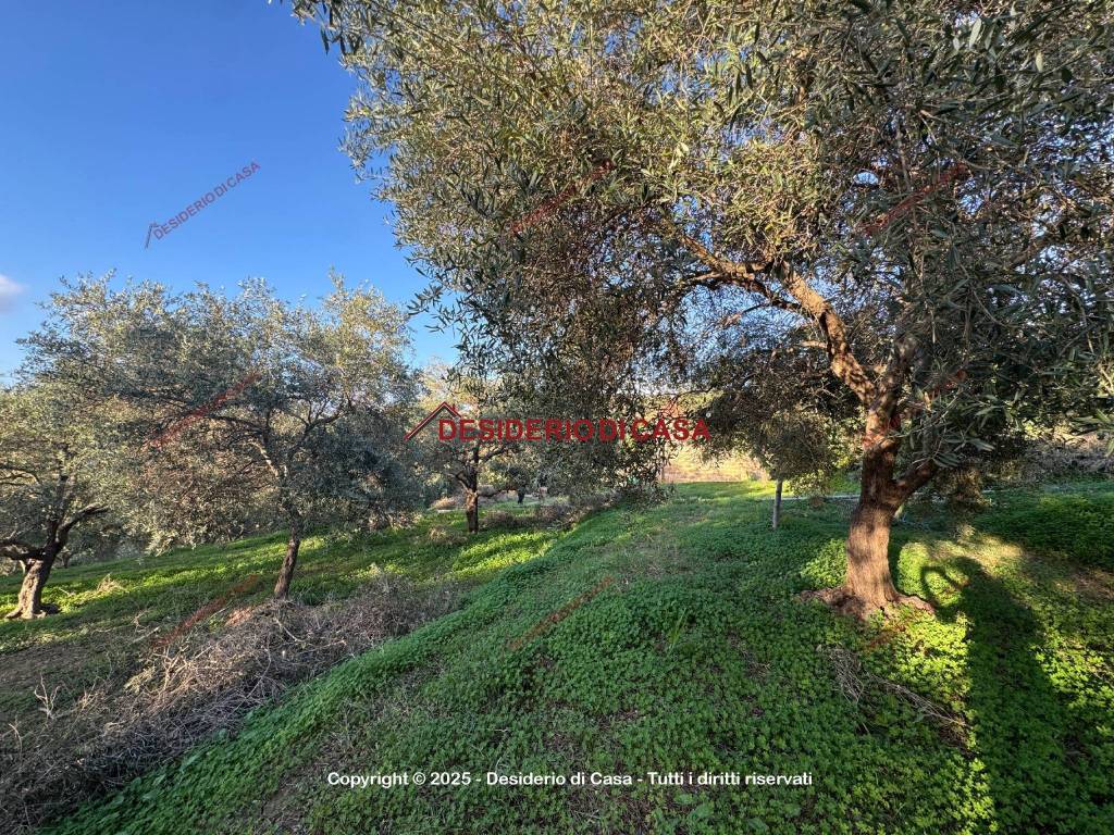 immagine annuncio 2 di 6