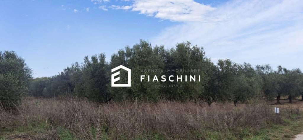 immagine annuncio 2 di 14