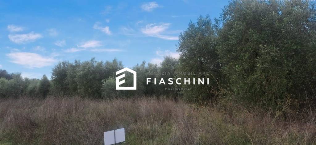 immagine annuncio 3 di 14