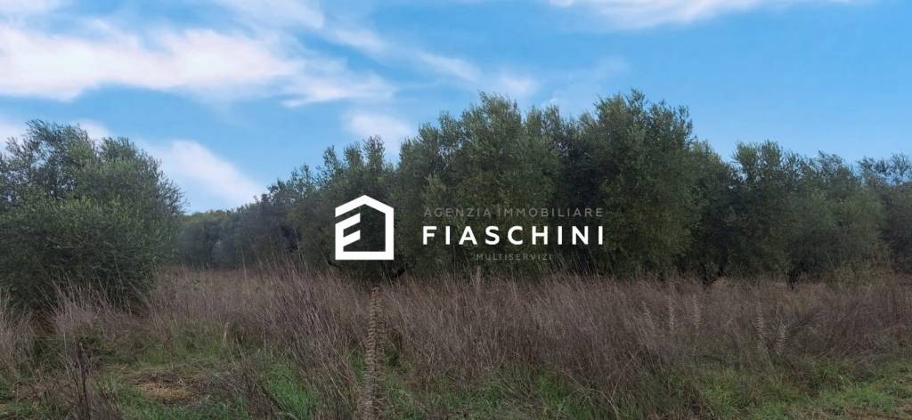 immagine annuncio 4 di 14