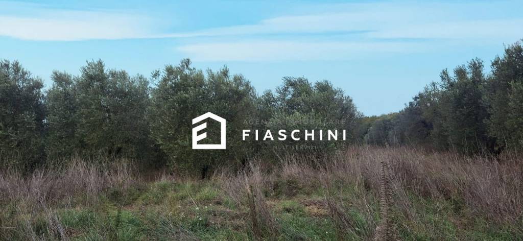 immagine annuncio 5 di 14