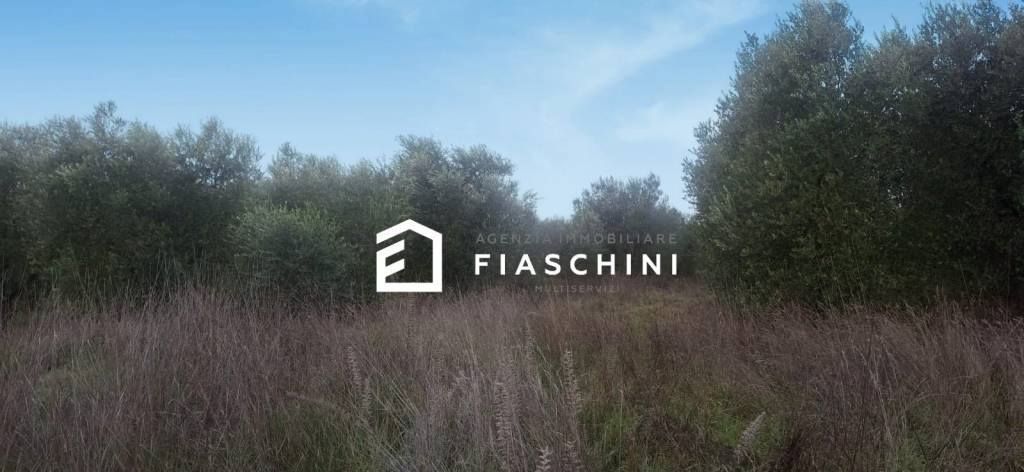 immagine annuncio 6 di 14