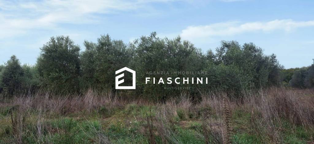 immagine annuncio 7 di 14