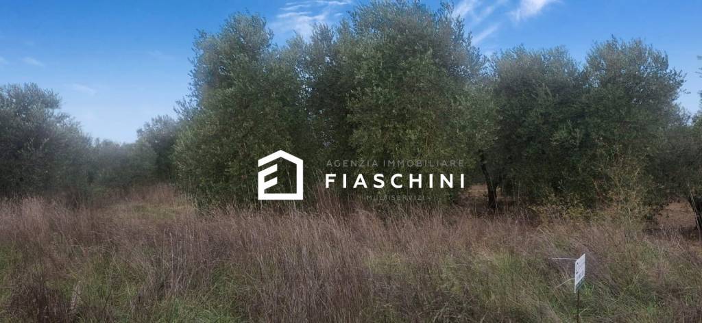 immagine annuncio 8 di 14