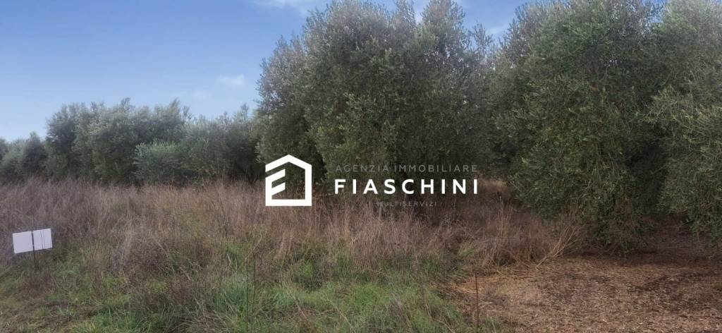 immagine annuncio 9 di 14