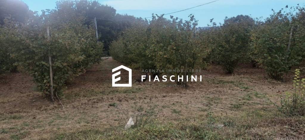 immagine annuncio 10 di 14