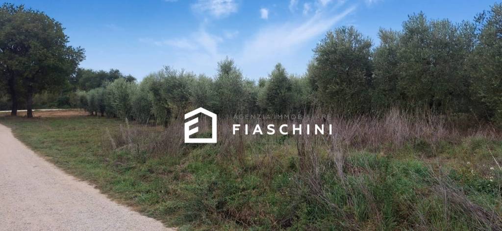 immagine annuncio 11 di 14