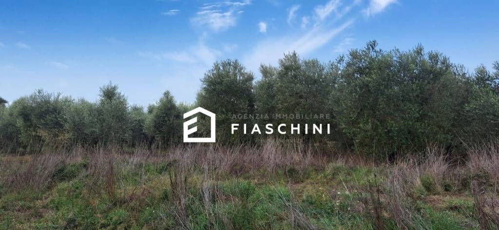 immagine annuncio 13 di 14