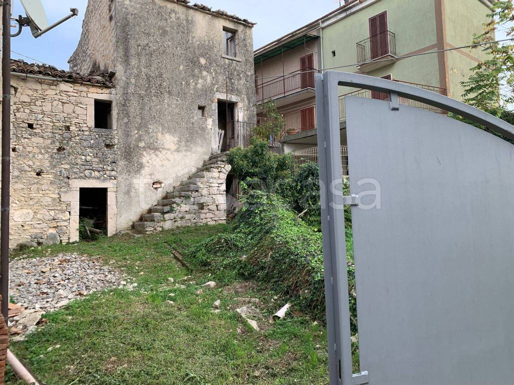 immagine annuncio 2 di 12