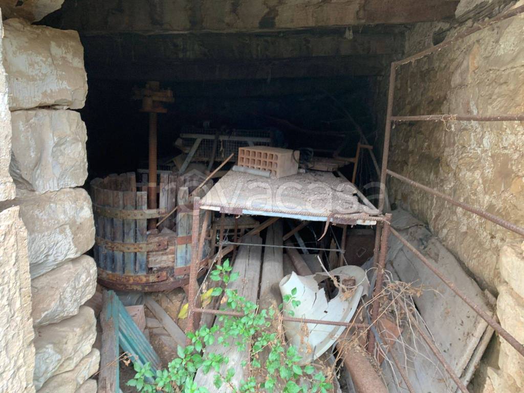 immagine annuncio 6 di 12