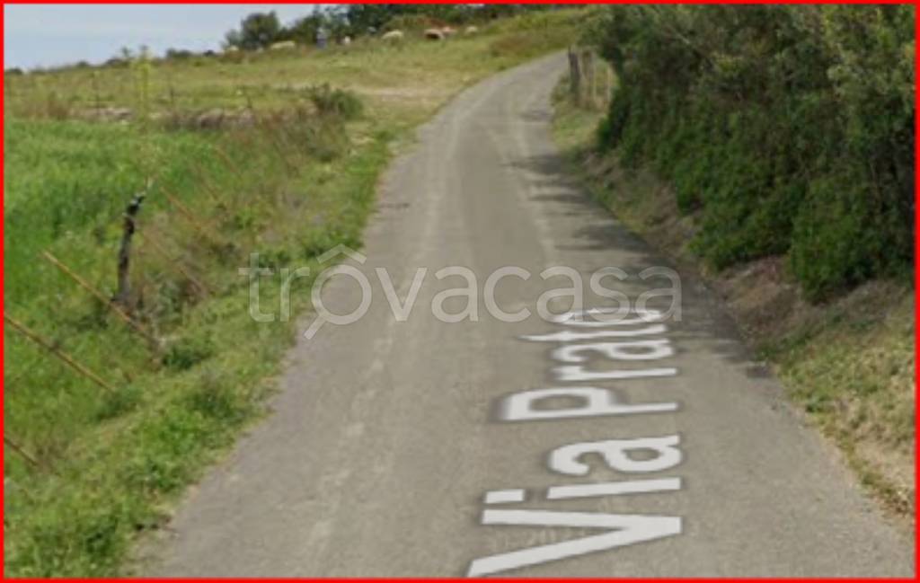 immagine annuncio 9 di 12