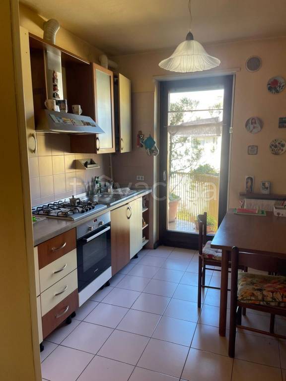 immagine annuncio 1 di 7