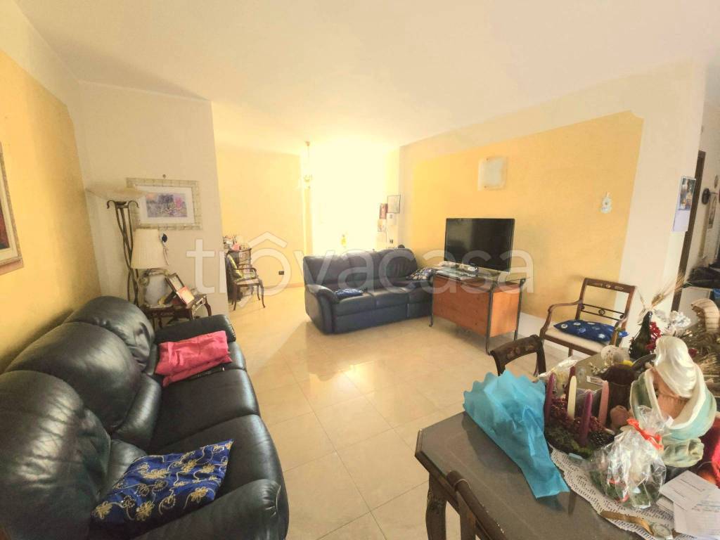 immagine annuncio 3 di 12