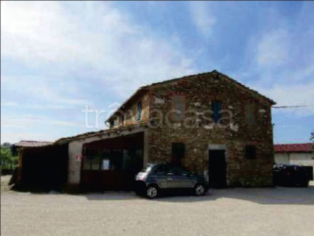 immagine annuncio 7 di 14