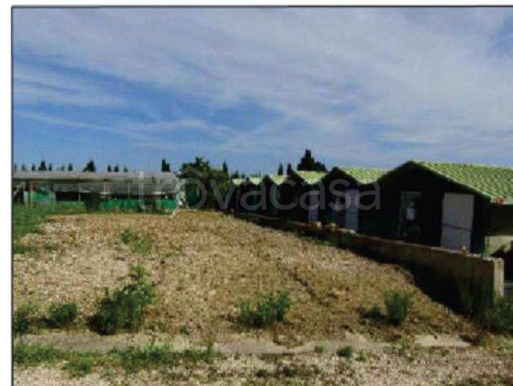 immagine annuncio 10 di 14