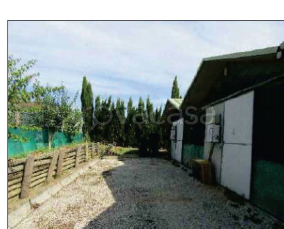 immagine annuncio 12 di 14