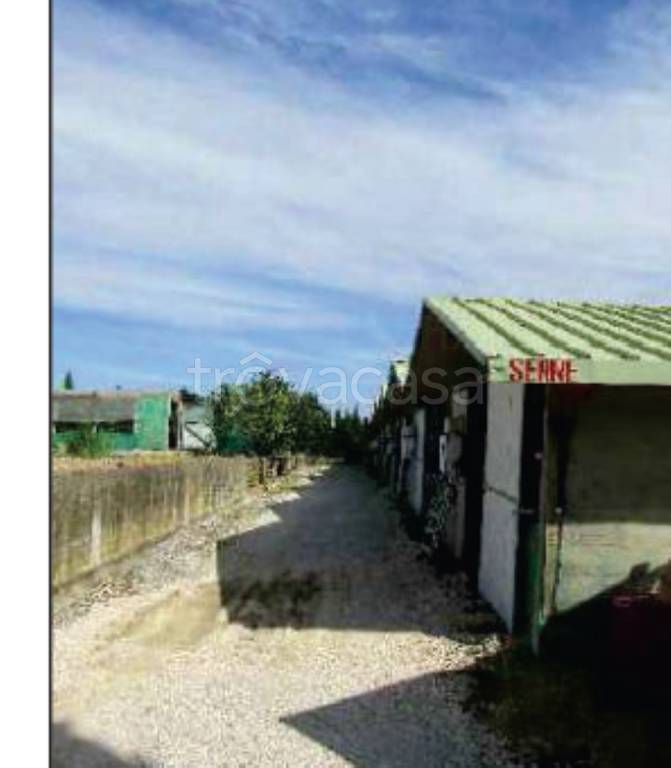 immagine annuncio 13 di 14