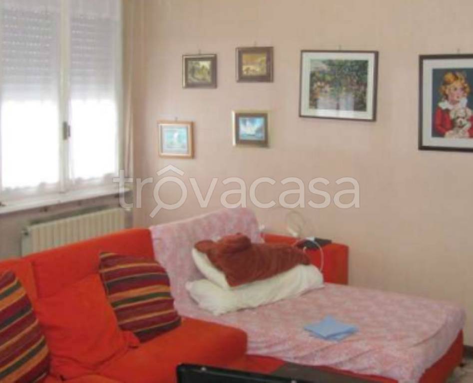 immagine annuncio 8 di 14