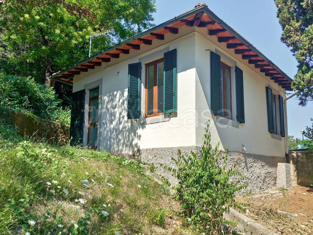 immagine annuncio 1 di 2