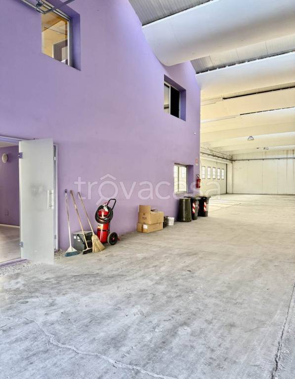 immagine annuncio 1 di 8