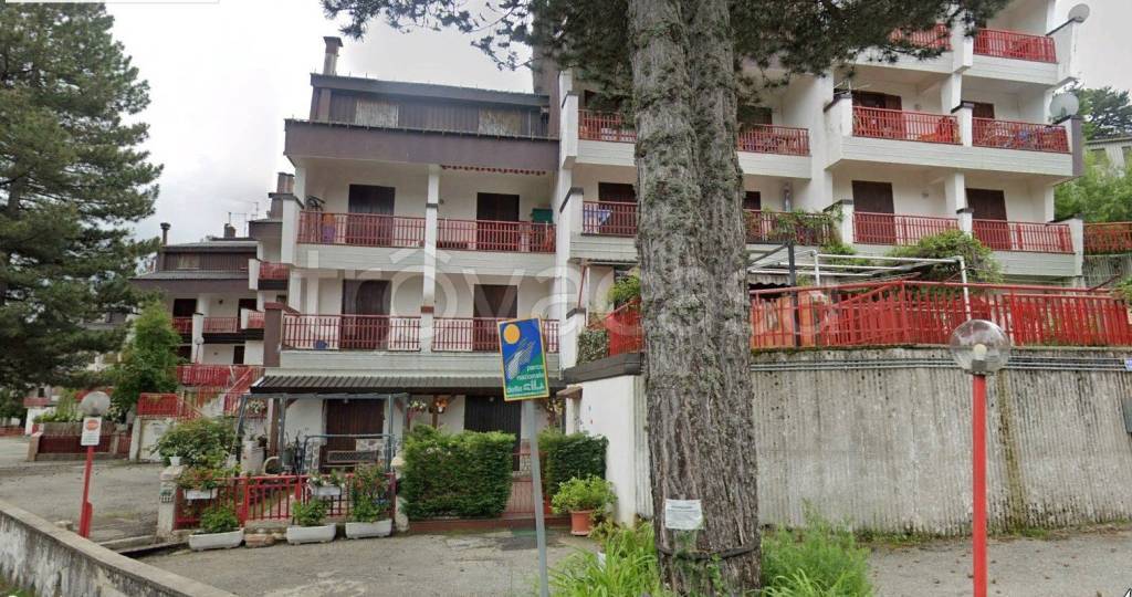 immagine annuncio 2 di 4