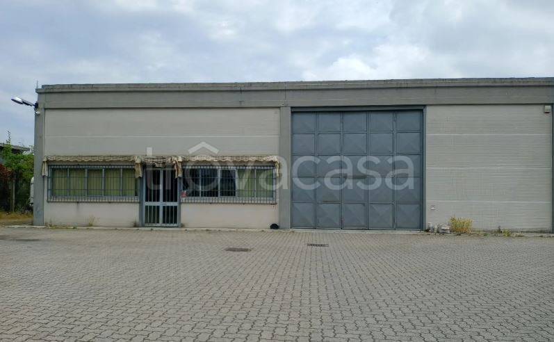 immagine annuncio 2 di 9