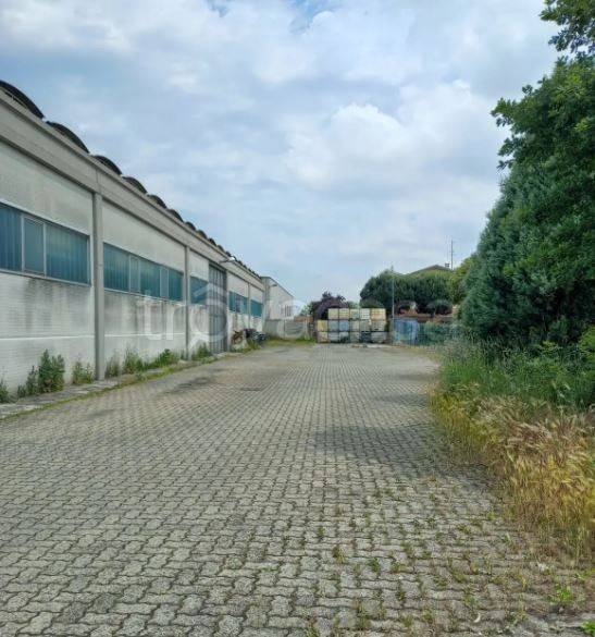 immagine annuncio 3 di 9